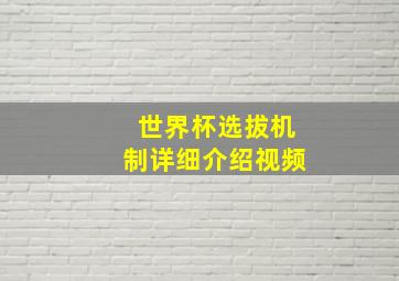 世界杯选拔机制详细介绍视频