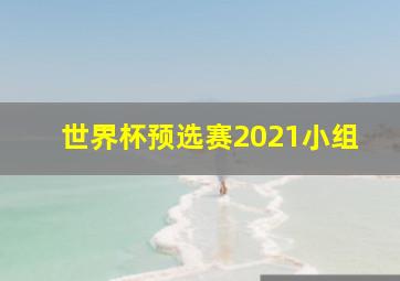 世界杯预选赛2021小组