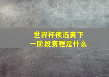 世界杯预选赛下一阶段赛程是什么