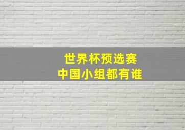 世界杯预选赛中国小组都有谁