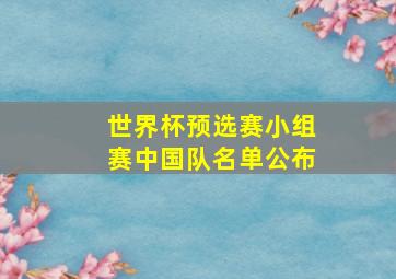 世界杯预选赛小组赛中国队名单公布