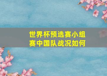 世界杯预选赛小组赛中国队战况如何