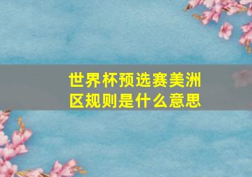 世界杯预选赛美洲区规则是什么意思