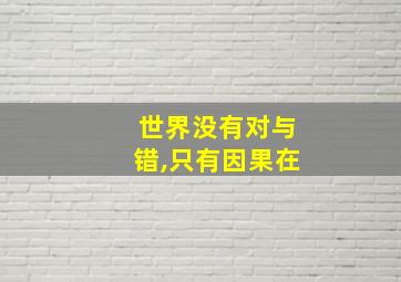 世界没有对与错,只有因果在