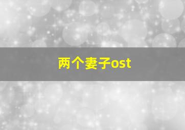 两个妻子ost