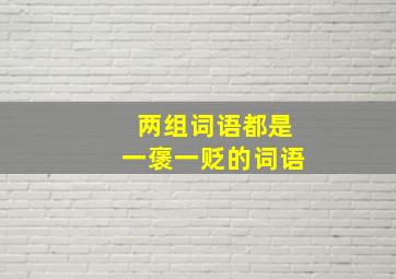 两组词语都是一褒一贬的词语