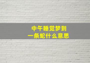 中午睡觉梦到一条蛇什么意思