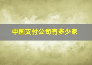 中国支付公司有多少家