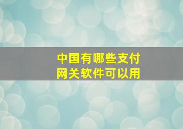 中国有哪些支付网关软件可以用