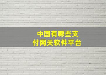 中国有哪些支付网关软件平台