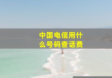 中国电信用什么号码查话费