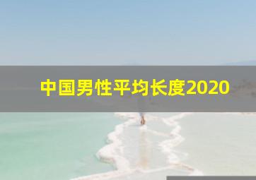 中国男性平均长度2020