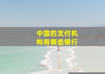 中国的支付机构有哪些银行