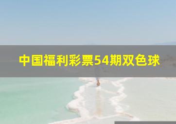 中国福利彩票54期双色球