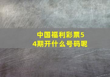 中国福利彩票54期开什么号码呢