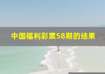 中国福利彩票58期的结果