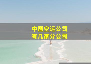 中国空运公司有几家分公司