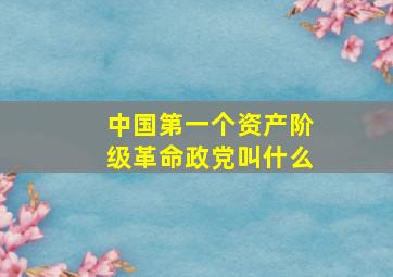 中国第一个资产阶级革命政党叫什么