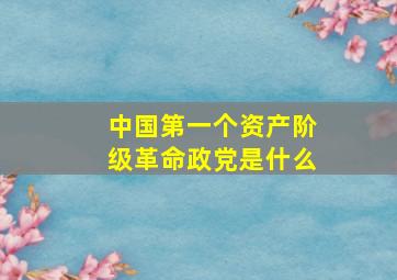 中国第一个资产阶级革命政党是什么