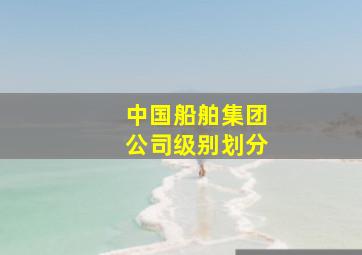 中国船舶集团公司级别划分