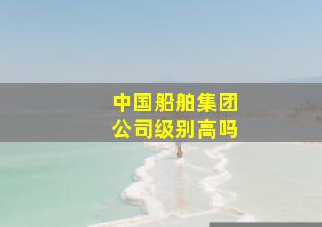 中国船舶集团公司级别高吗