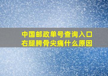 中国邮政单号查询入口右腿胯骨尖痛什么原因