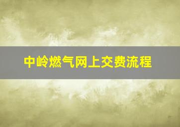 中岭燃气网上交费流程