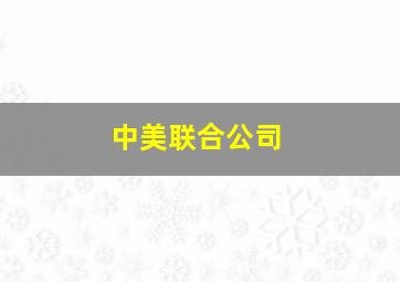 中美联合公司