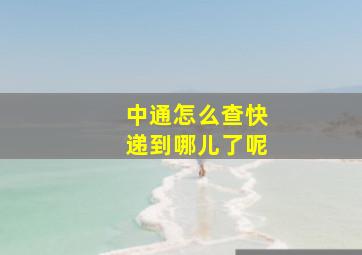 中通怎么查快递到哪儿了呢