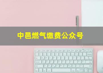 中邑燃气缴费公众号