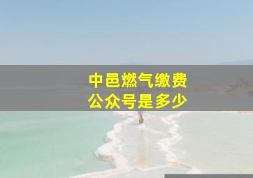 中邑燃气缴费公众号是多少