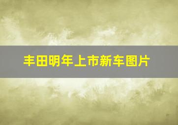 丰田明年上市新车图片