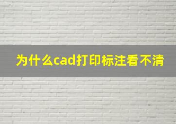 为什么cad打印标注看不清