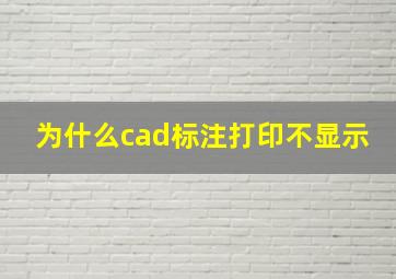 为什么cad标注打印不显示