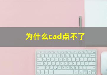 为什么cad点不了