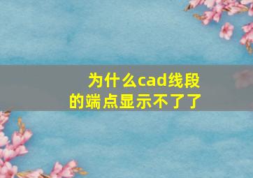 为什么cad线段的端点显示不了了