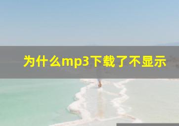 为什么mp3下载了不显示