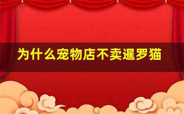 为什么宠物店不卖暹罗猫