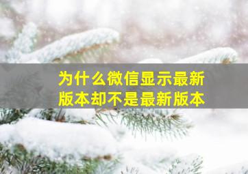 为什么微信显示最新版本却不是最新版本