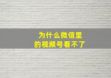 为什么微信里的视频号看不了