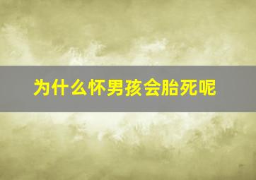 为什么怀男孩会胎死呢