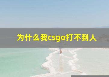 为什么我csgo打不到人