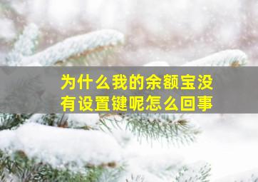 为什么我的余额宝没有设置键呢怎么回事