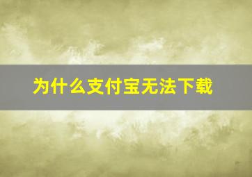 为什么支付宝无法下载