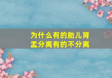 为什么有的胎儿肾盂分离有的不分离