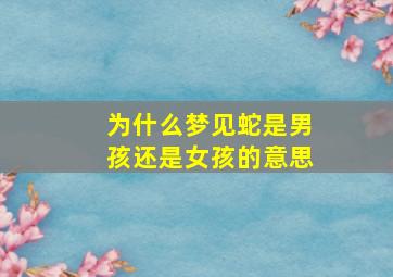 为什么梦见蛇是男孩还是女孩的意思