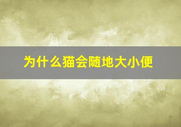 为什么猫会随地大小便