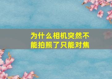 为什么相机突然不能拍照了只能对焦