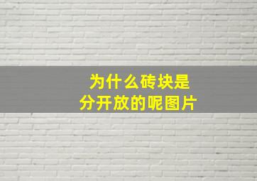 为什么砖块是分开放的呢图片