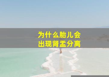 为什么胎儿会出现肾盂分离